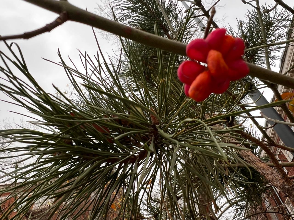 Когда ударят морозы до -7°: синоптик сообщила о переходе температур через ноль в Подмосковье