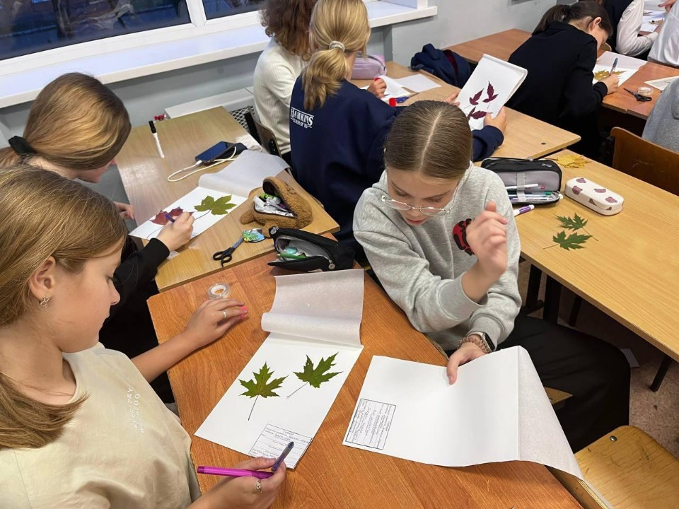 Сетка гербария, монтажный лист и пресс: с чем еще знакомят детей на занятиях в лесничествах Московской области