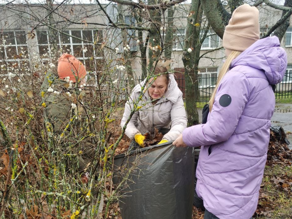 Библиотекари Зарайска навели порядок на территориях перед наступлением зимы