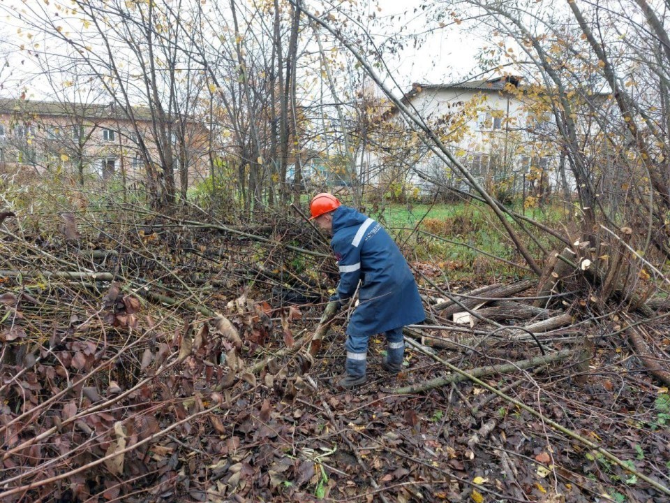 «Обнимашки» с ЛЭП запрещены: в Губине провели масштабную опиловку для спасения света в школе и больнице