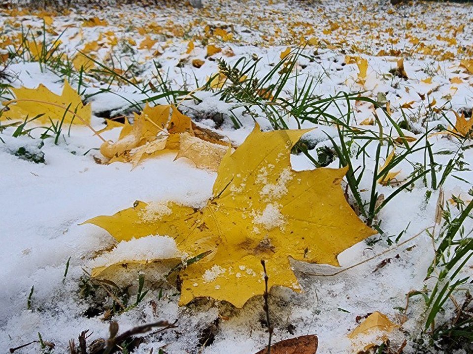 Синоптик Позднякова озвучила новую дату первого снега в Подмосковье