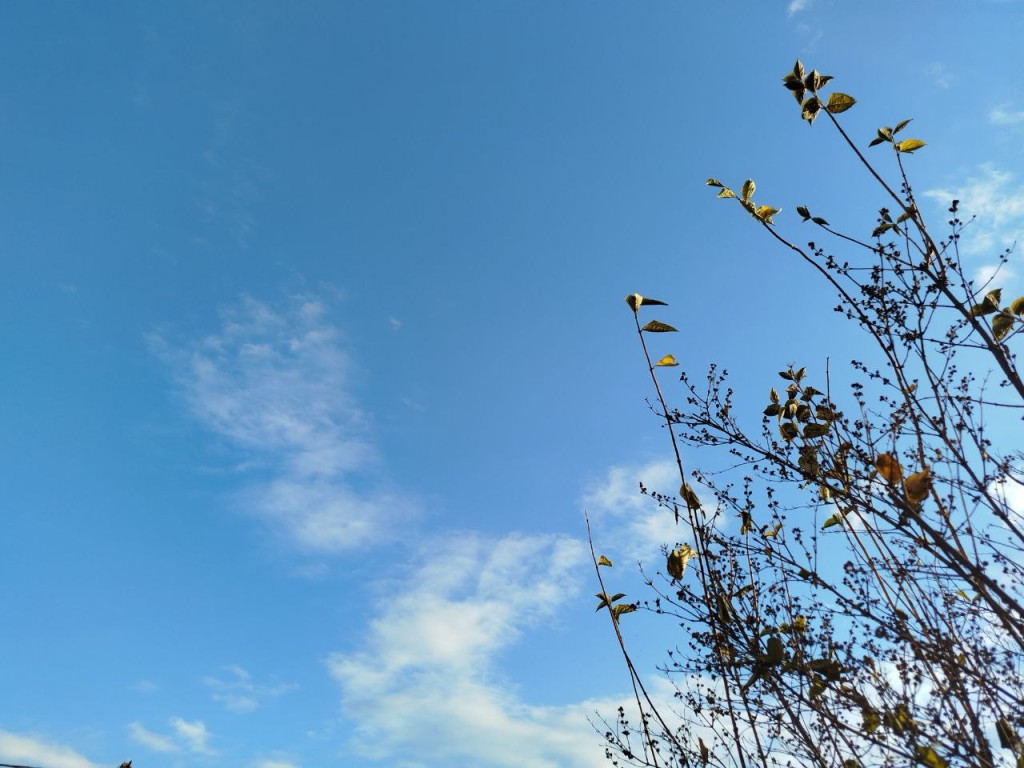 В среду 0, в четверг +2: синоптики предупредили жителей о погодных качелях с 25 ноября