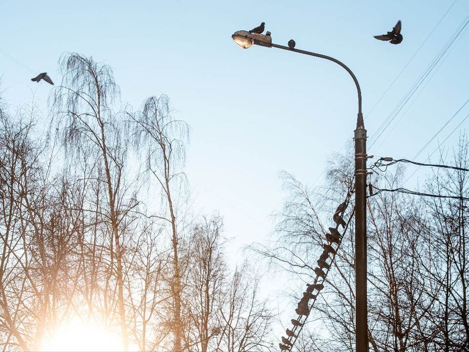 От морозов к жаре и обратно: погодные качели в Московском регионе спрогнозировал синоптик Шувалов
