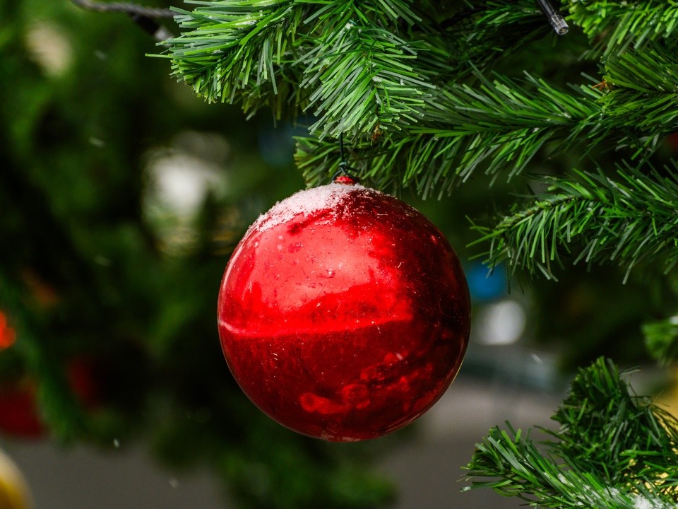 «Рано начали готовиться к Новому году»: москвичи возмущены елками