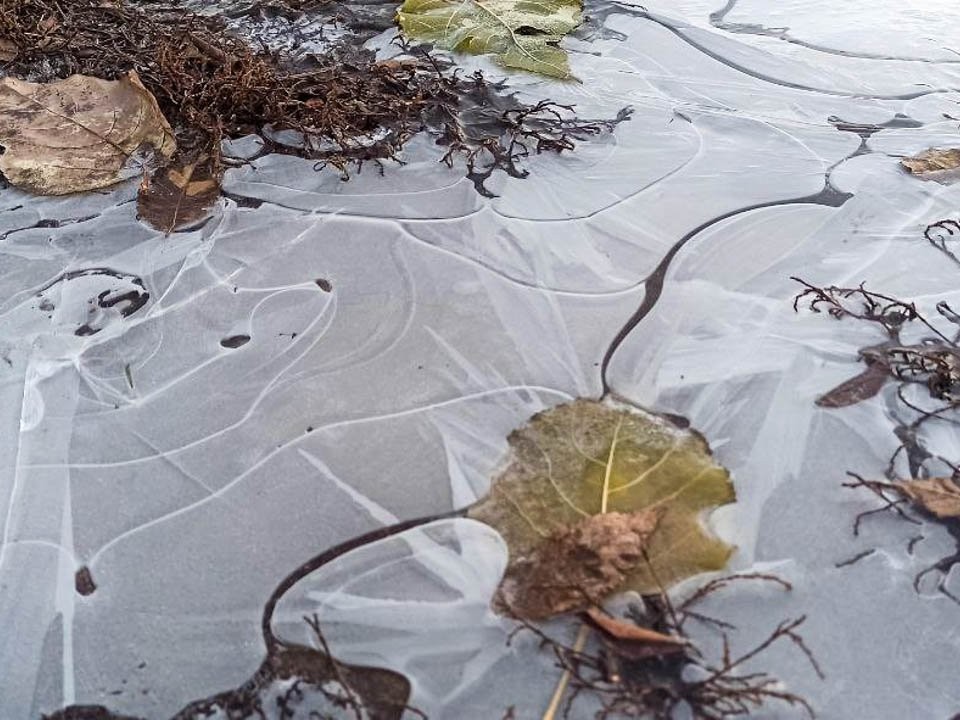 Худший день для трудоголиков — 19 ноября: почему на Павла Ледостава выгодно забить на работу