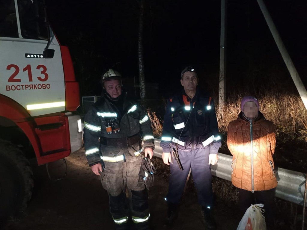 Спасатели нашли и вывели из леса Домодедовского округа заблудившуюся пенсионерку