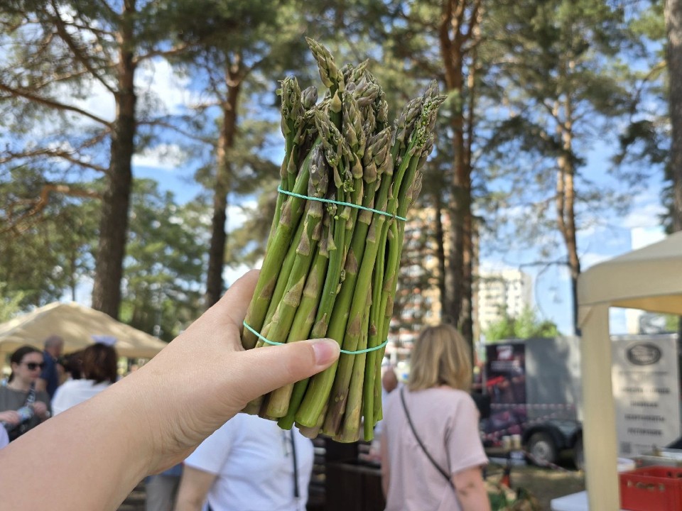 Самый «вкусный» праздник спаржи из Озер отмечен солидной международной наградой