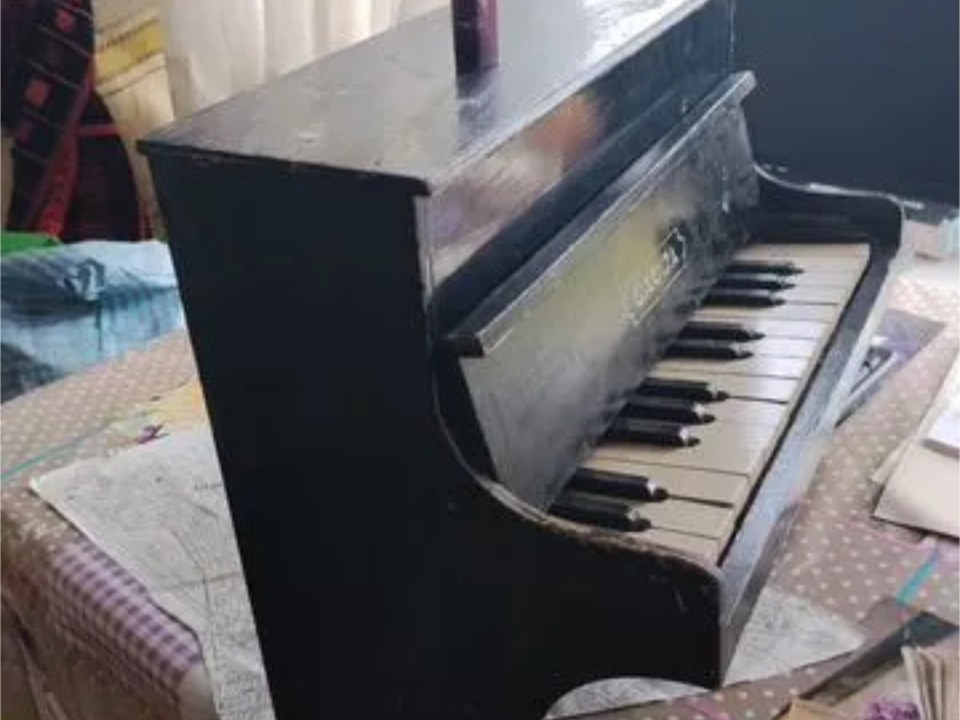 Музыкальный привет из СССР: раритетное детское пианино продают в Солнечногорске