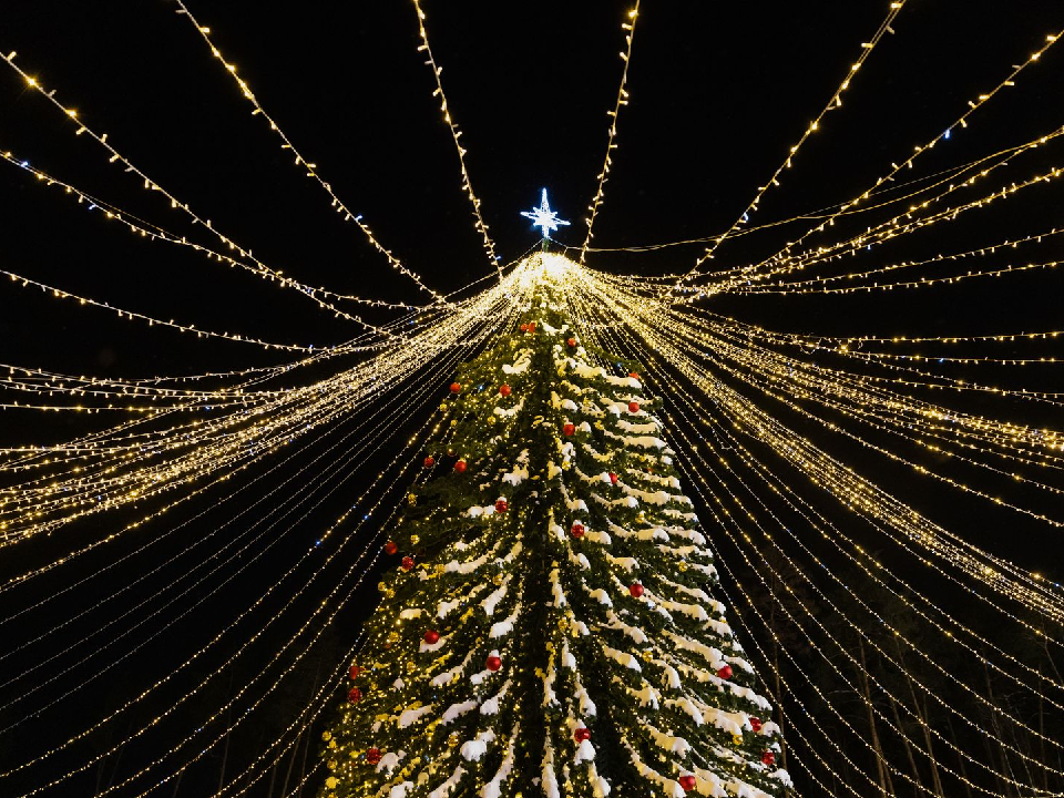 В Дубне к Новому году засияет роскошная 15-метровая елка на площади Космонавтов