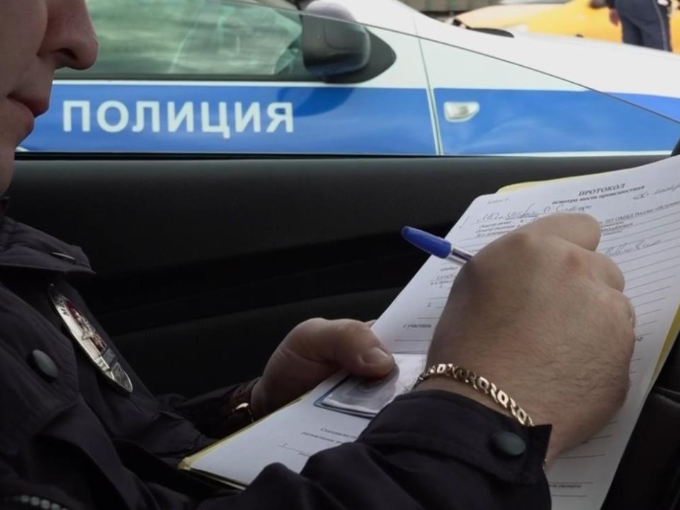 «Черные возчики» под прицелом: в Истре остановили незаконный сброс 67 кубов строймусора