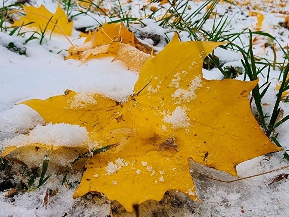 Синоптики уточнили дату начала метеорологической зимы в Лосино-Петровском