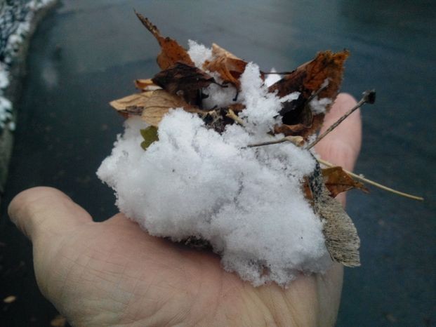 «Зимы не будет»: синоптик Вильфанд предсказывает одну из самых теплых и коротких зим в истории наблюдений