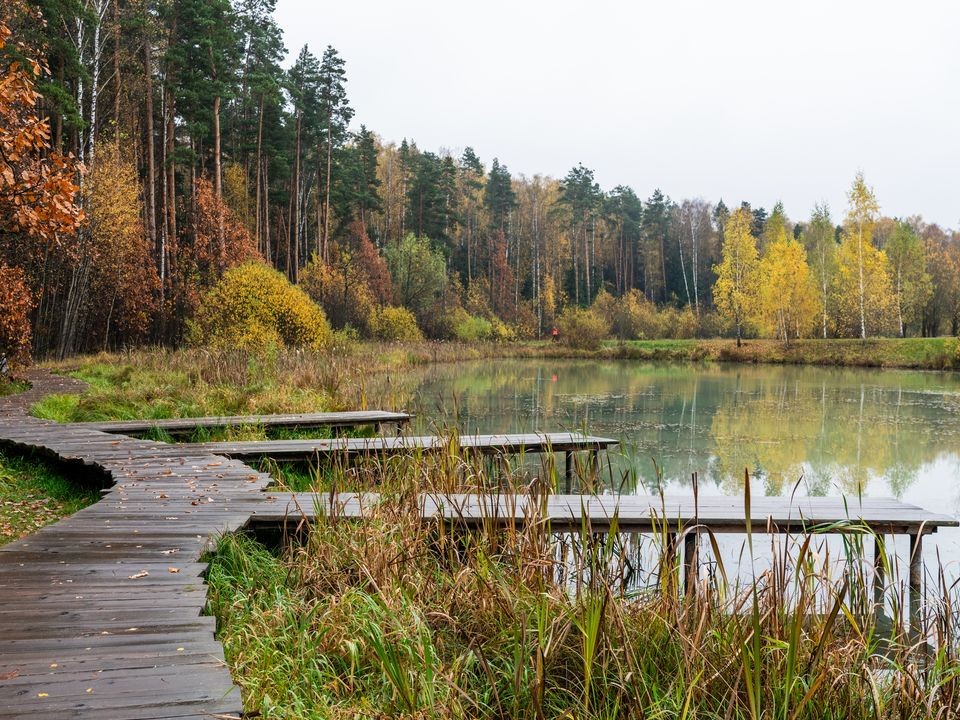 Холода задерживаются: почему столичный регион еще неделю снега не увидит