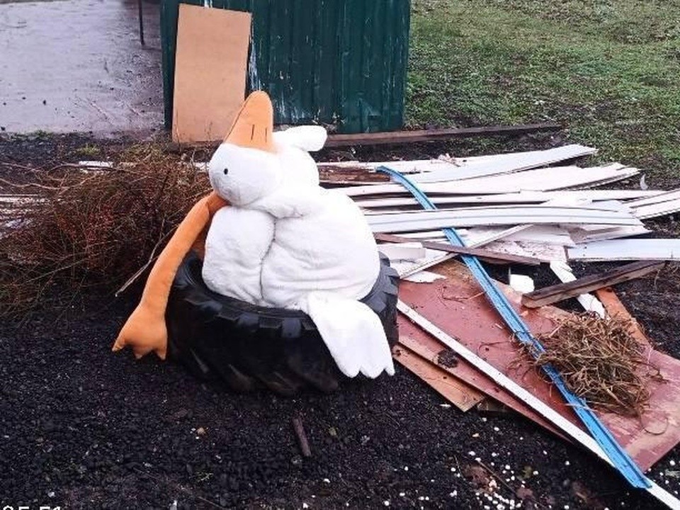 Превратности судьбы: как плюшевый гусь стал талисманом Каширского регоператора