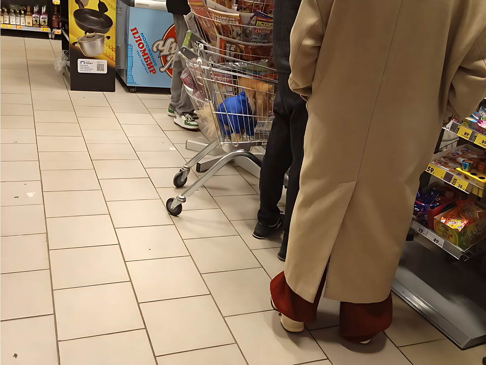 Хвостатые пассажиры супермаркетов: разрешено ли возить питомцев в продуктовых тележках