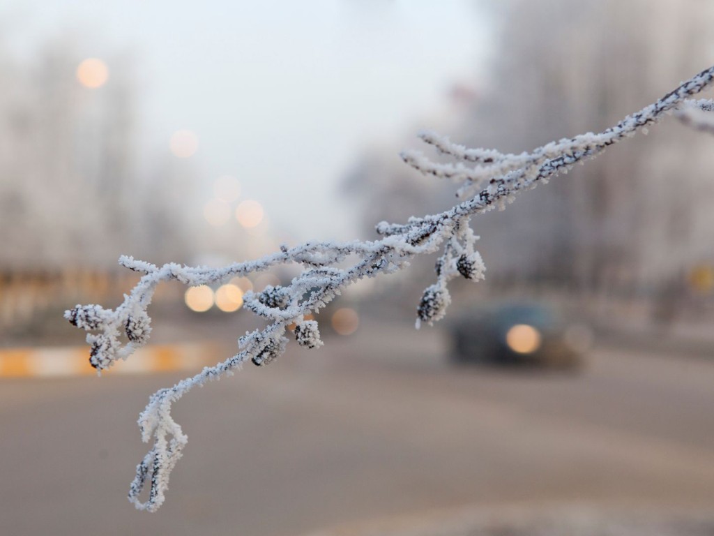 Когда в Подмосковье придет настоящая зима, рассказал синоптик