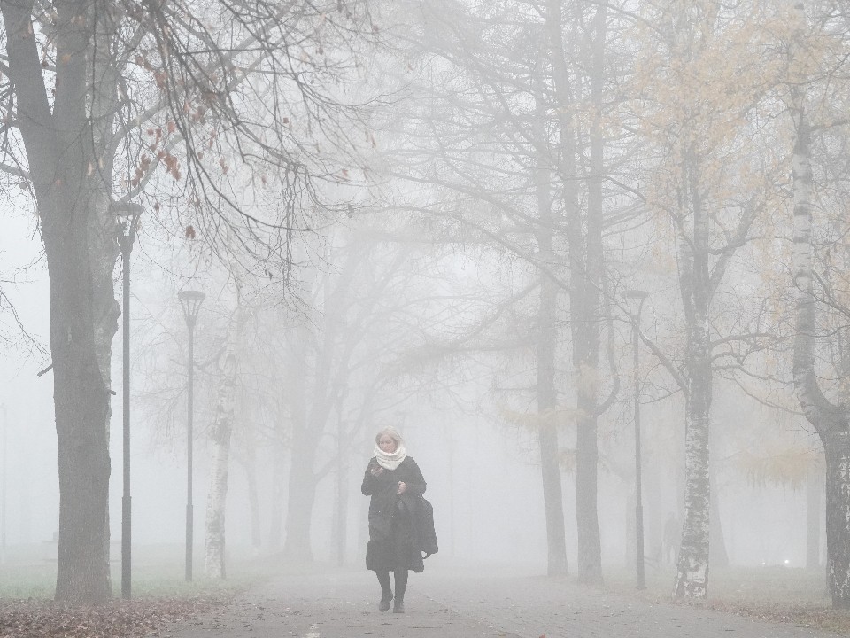 Подольск накрыло густым туманом: когда он рассеется