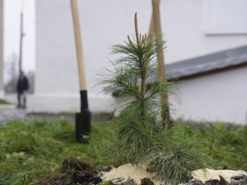 Сквер в честь Защитников Отечества создали в Егорьевске