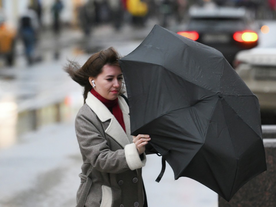 Сносит с ног и ломает ветки деревьев: сильный ветер надвигается на Подмосковье