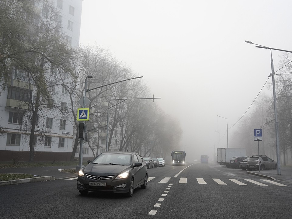 Густой туман накроет Воскресенский округ 1 ноября