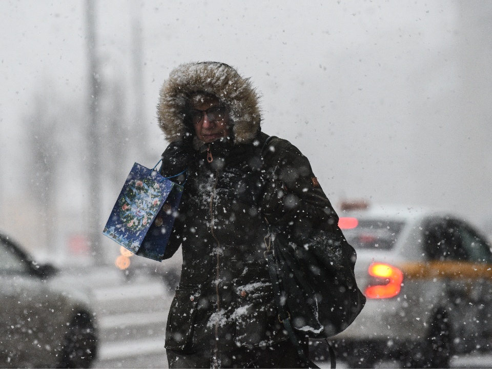 МЧС: ухудшение видимости из-за мокрого снега ожидается в Подмосковье в ночь на 26 ноября