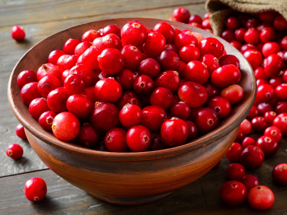 Клюквенный бум в Подмосковье: где искать ягоду и чем она полезна