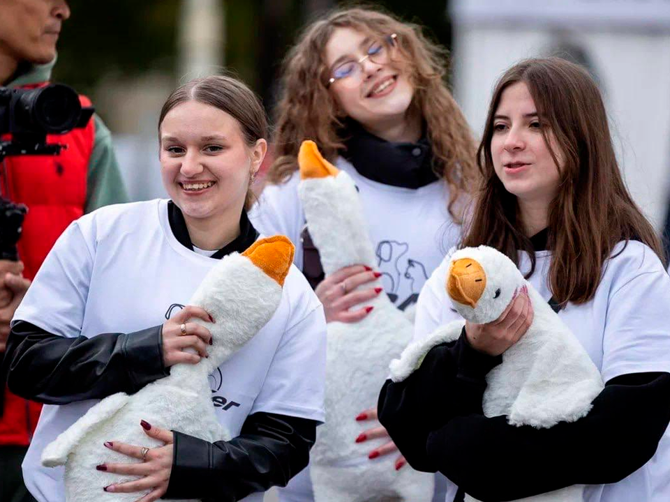 В Королеве организуют новые проекты для молодежи