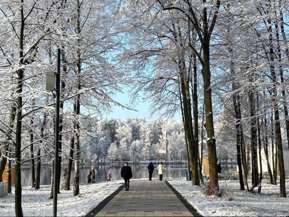 Эколекции, спорт и мастер-классы: что ожидает жителей Электростали в последнюю неделю осени