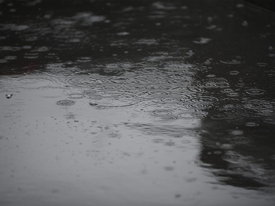 Дождь весь день и пронизывающий ветер: синоптики рассказали, какой будет погода на День народного единства