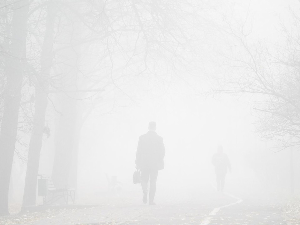 В Лыткарине ожидается туман в ночь на 13 ноября