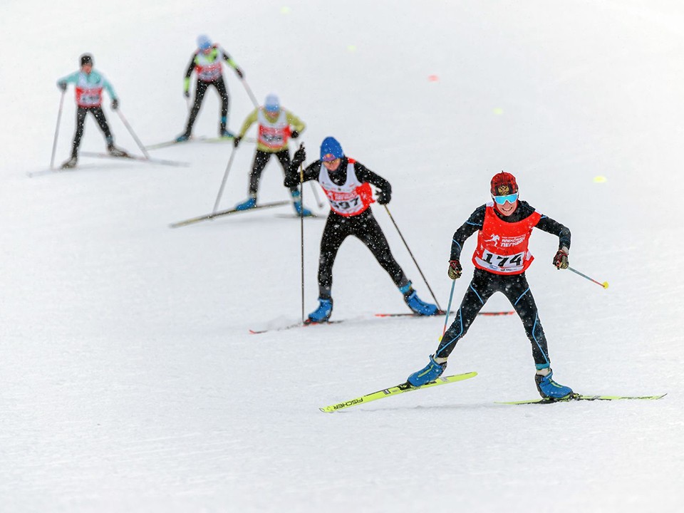 Где найти трассы для лыжных прогулок в Пушкинском округе предстоящей зимой