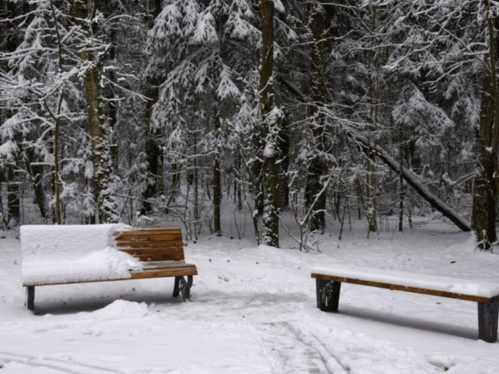 Снег и морозы до -20 придут в Подмосковье! Синоптики спрогнозировали зиму похолоднее предыдущей