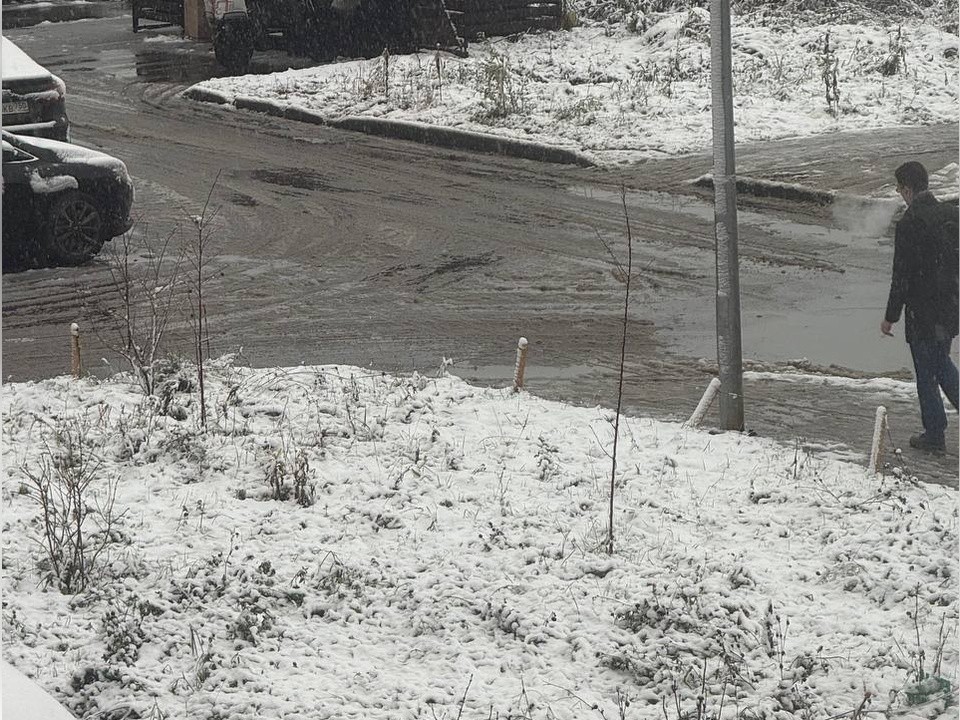 В Королеве выпал первый снег: жители делятся кадрами в соцсетях