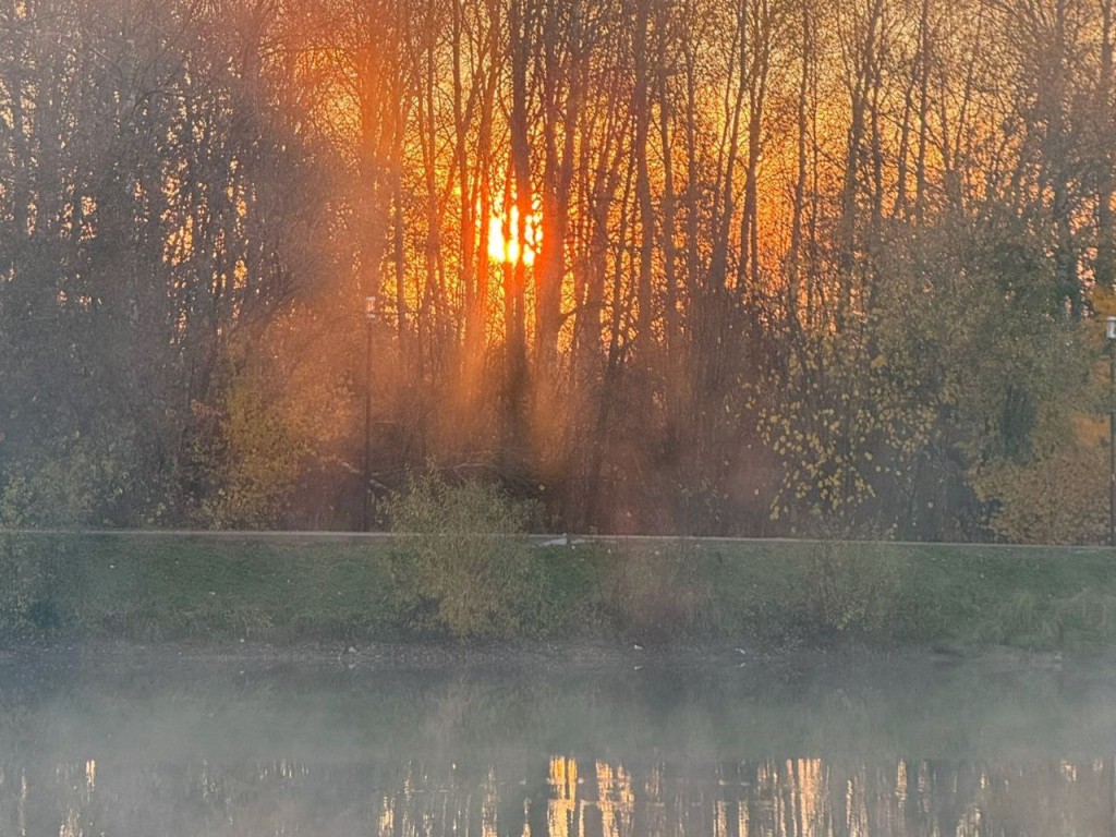 Гороскоп для всех знаков Зодиака на 16 ноября 2025: Овны, Раки и Весы будут «купаться» в славе, а Тельцам, Львам и Девам не стоит «опускать руки»