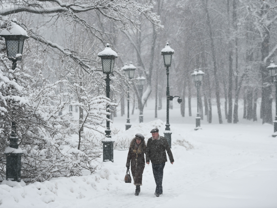 Синоптик Позднякова назвала дату первого серьезного снегопада в Подмосковье