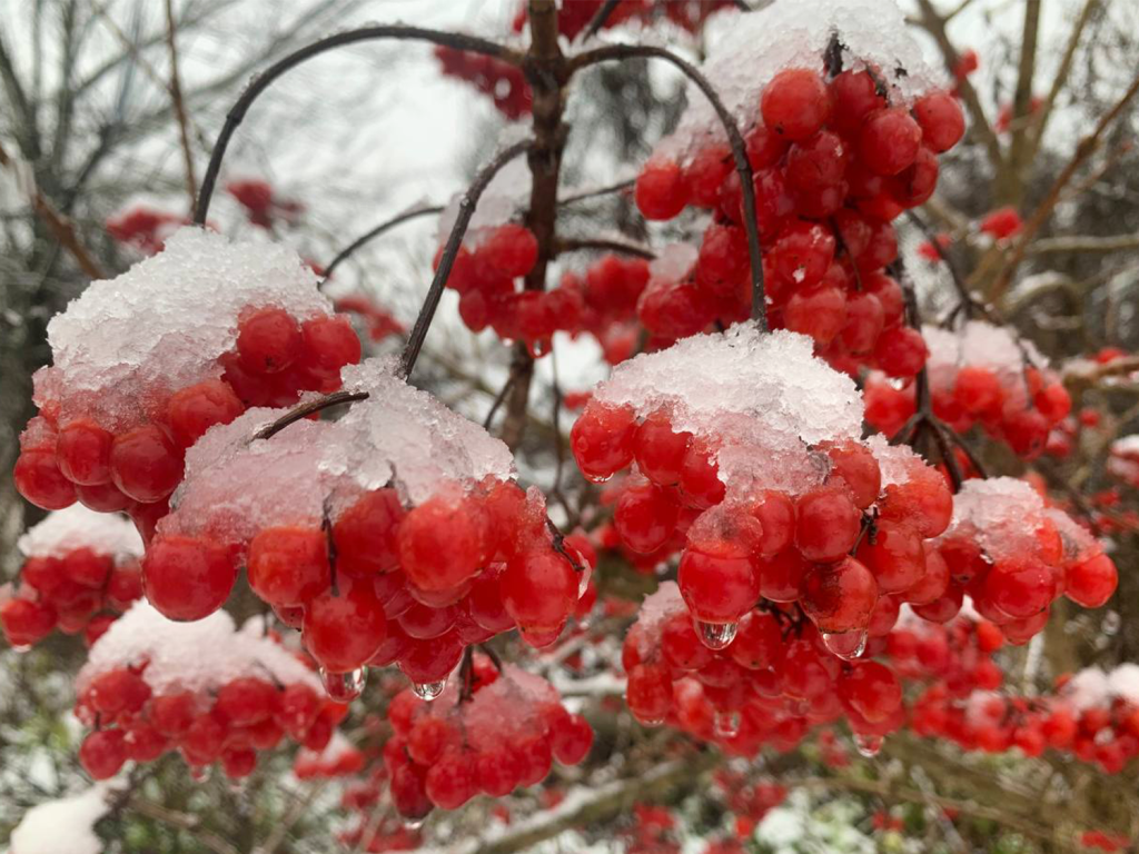 В Зарайск пришла зима и первый снег