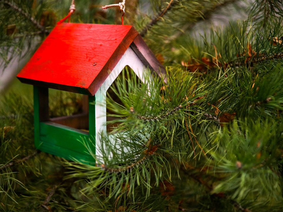 Юные зарайцы отметили Синичкин день мастер-классами и развешиванием кормушек