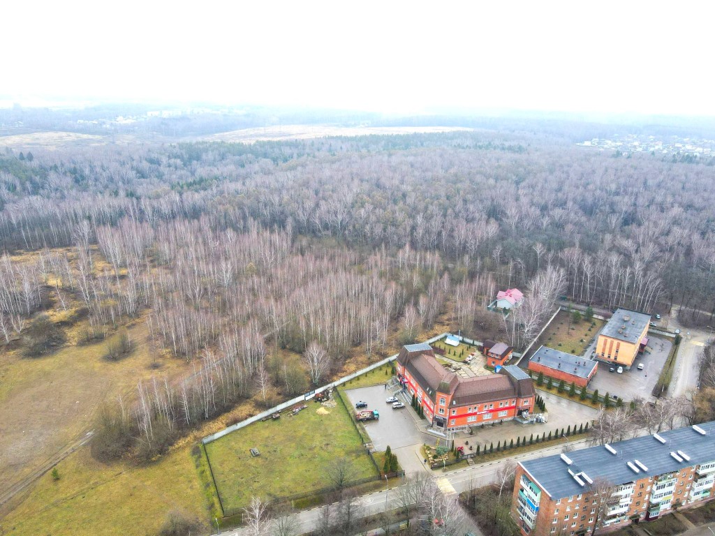 Каширяне подскажут, каким будет будущий городской лесопарк