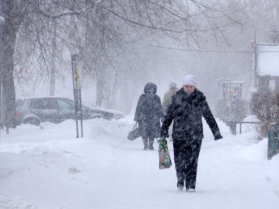 Циклон с севера повернет погоду в сторону зимы и завалит Подмосковье снегом 15 ноября