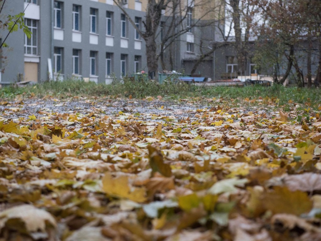 Когда выпадет снег, рассказали синоптики о погоде в Подмосковье на неделе