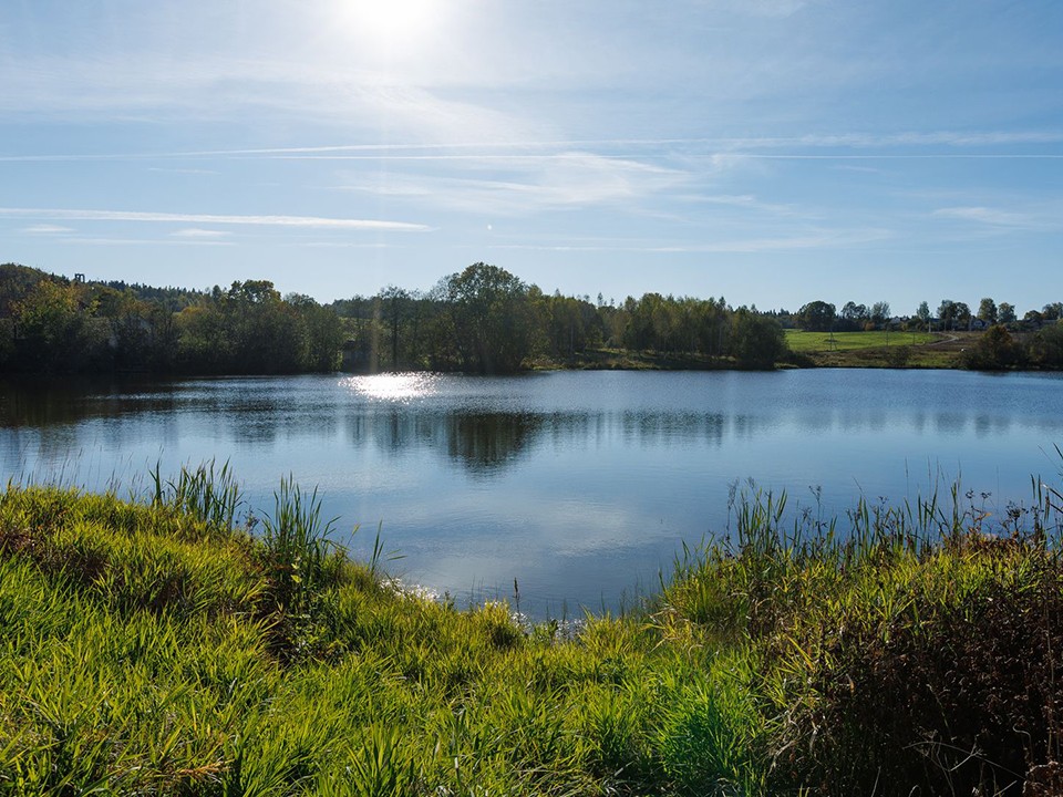 Жители Подмосковья выбирают водоемы, которые нужно почистить в 2026 году
