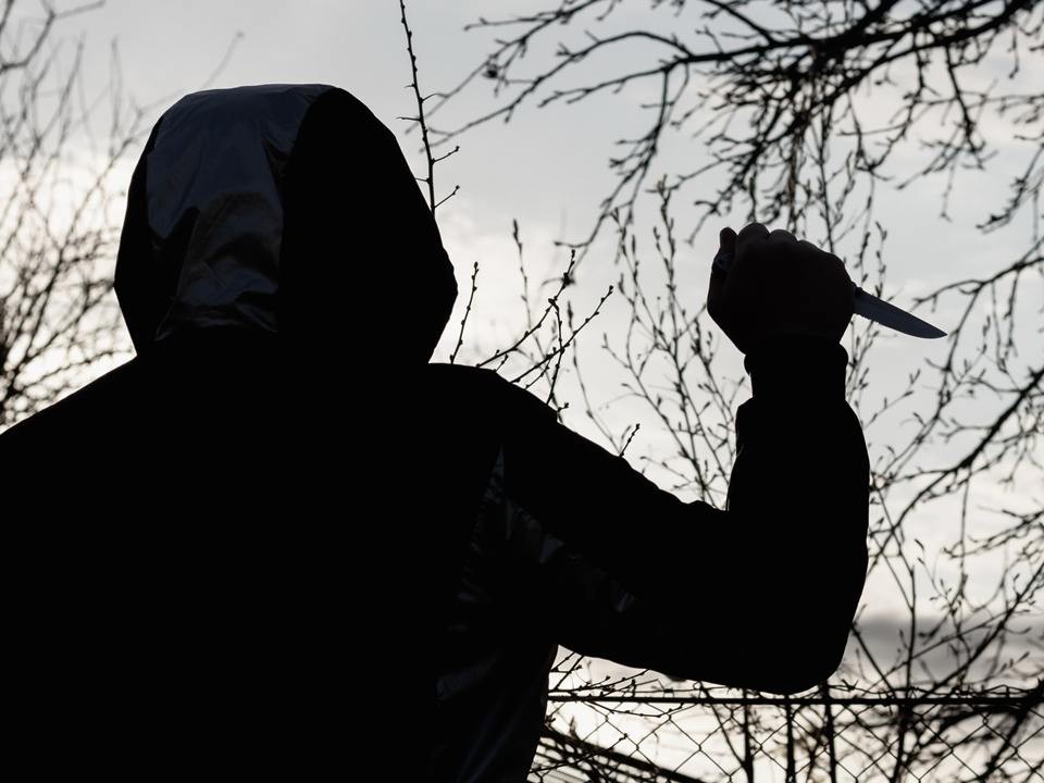 Психологический портрет богородского маньяка: почему он скрывает судьбу своих жертв