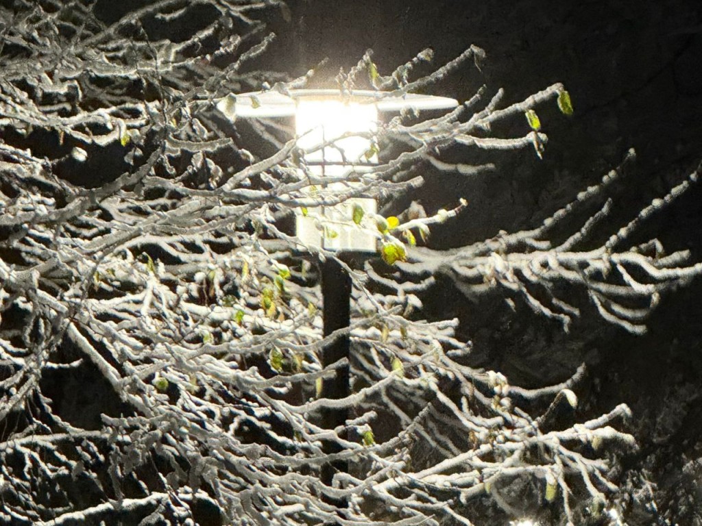 Раскрыт древний ритуал Матвея Ветродуя: как загадать желание 29 ноября, чтобы оно непременно исполнилось