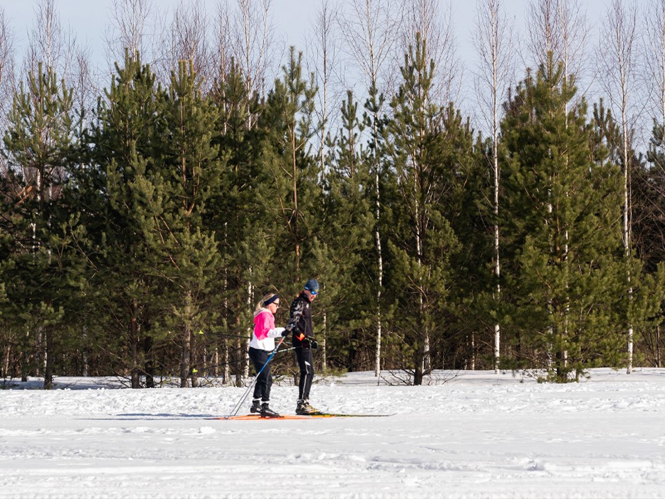 В парках Подмосковья подготовили 62 лыжные трассы к зимнему сезону