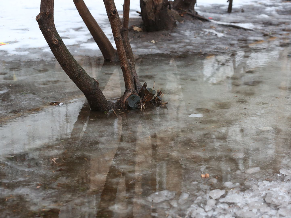 Подмосковье накроют снег с дождем и заморозки до -5 градусов, но ненадолго
