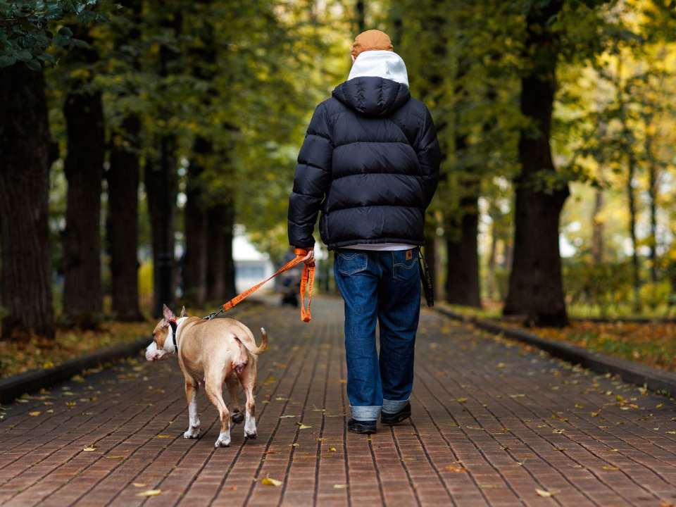«Шпора в пятке»: красногорский фельдшер Походющий назвал три способа лечения