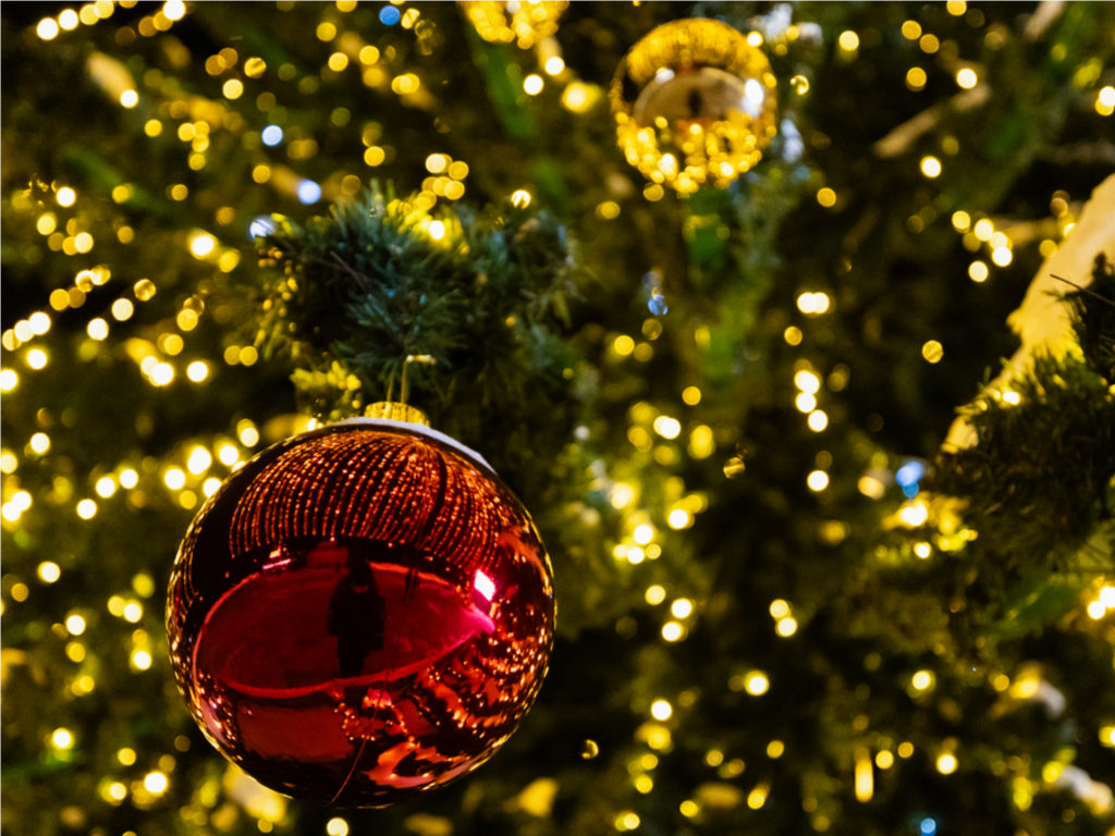 Власти готовят сюрприз: сквер в Пироговском украсят к Новому году по-особенному