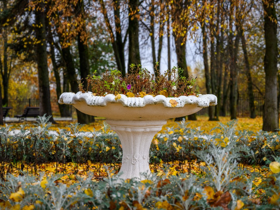 Осень в объективе: жители Истры посоревнуются за вкусные призы за снимки в парках