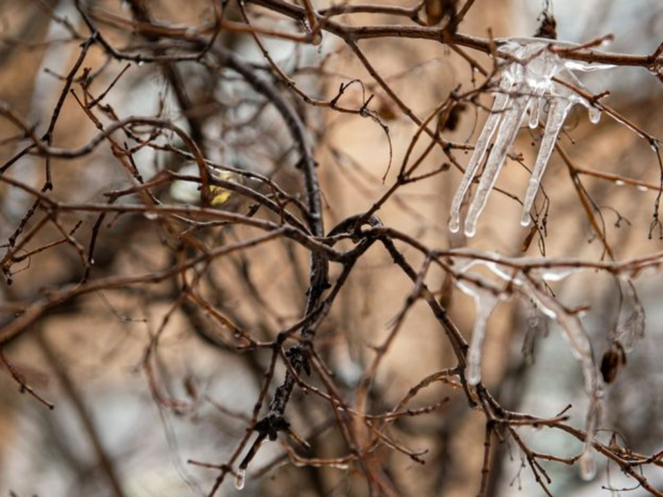 Зимнее шоу с разными осадками: когда в Московском регионе ждать ледяной дождь