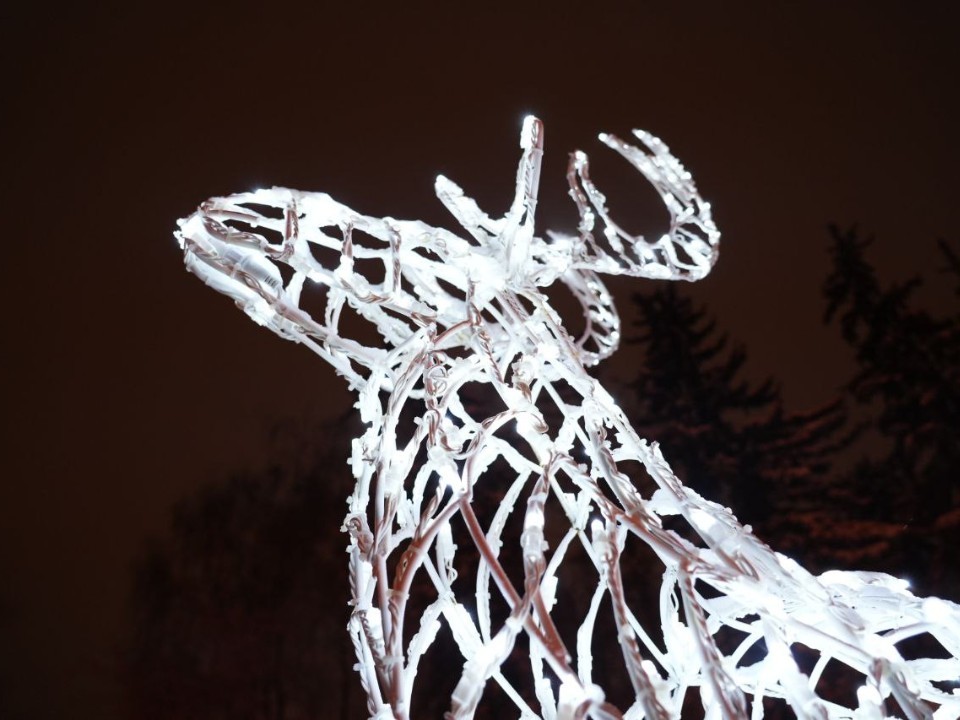 Первых праздничных оленей заметили в Красноармейске за 50 дней до Нового года